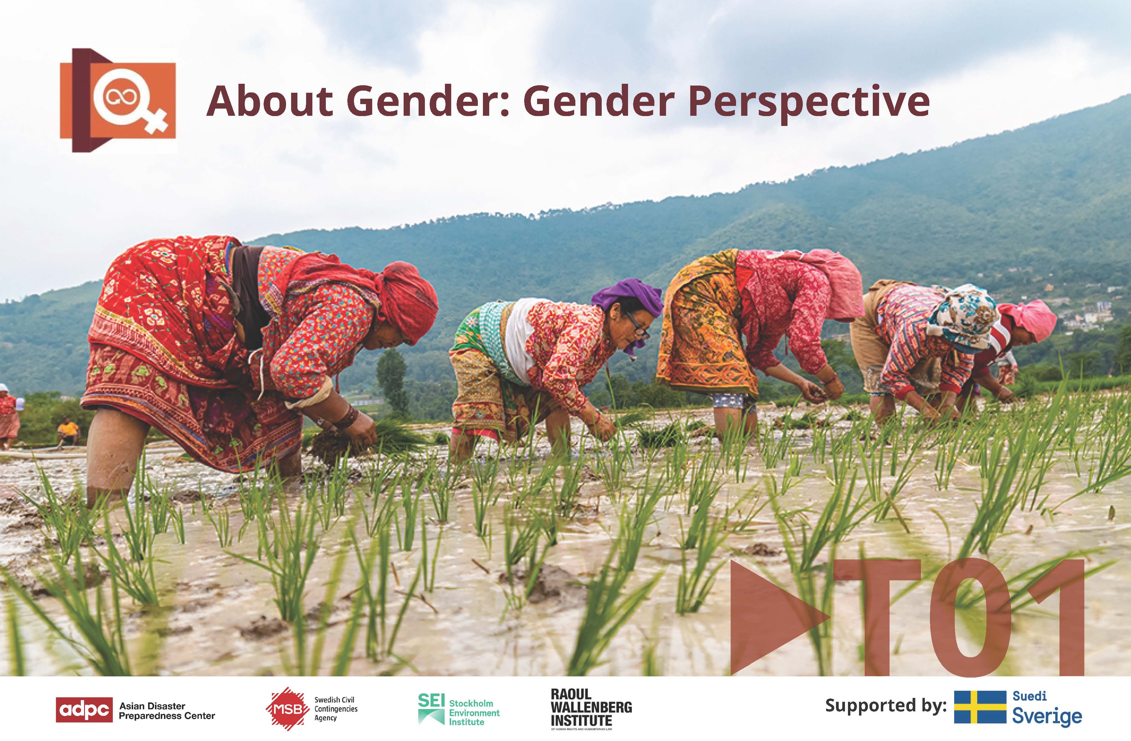 About Gender Series Topic 1: Gender Perspective BRDRT01