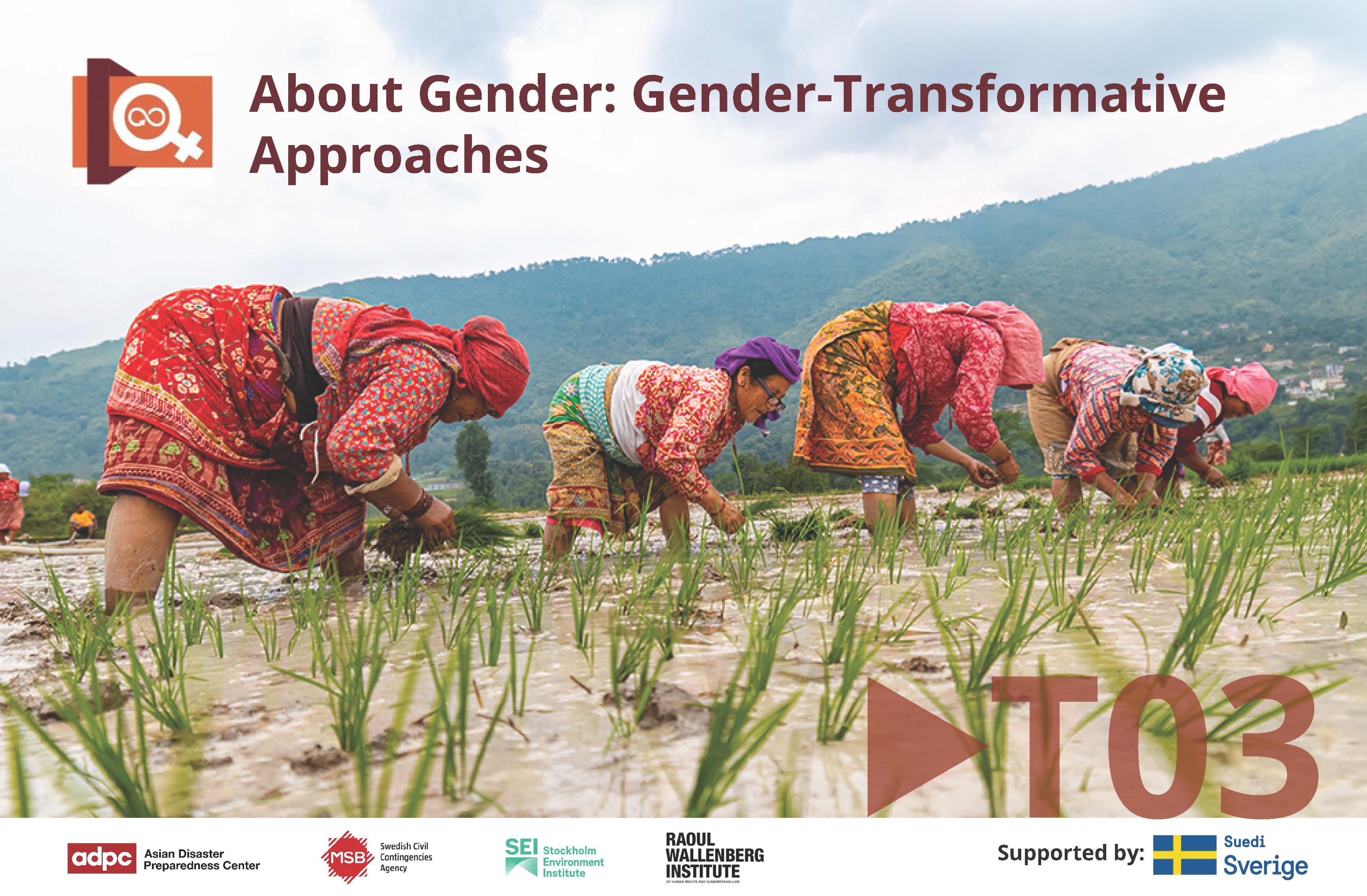 About Gender Series Topic 3: Gender-Transformative Approaches BRDRT03