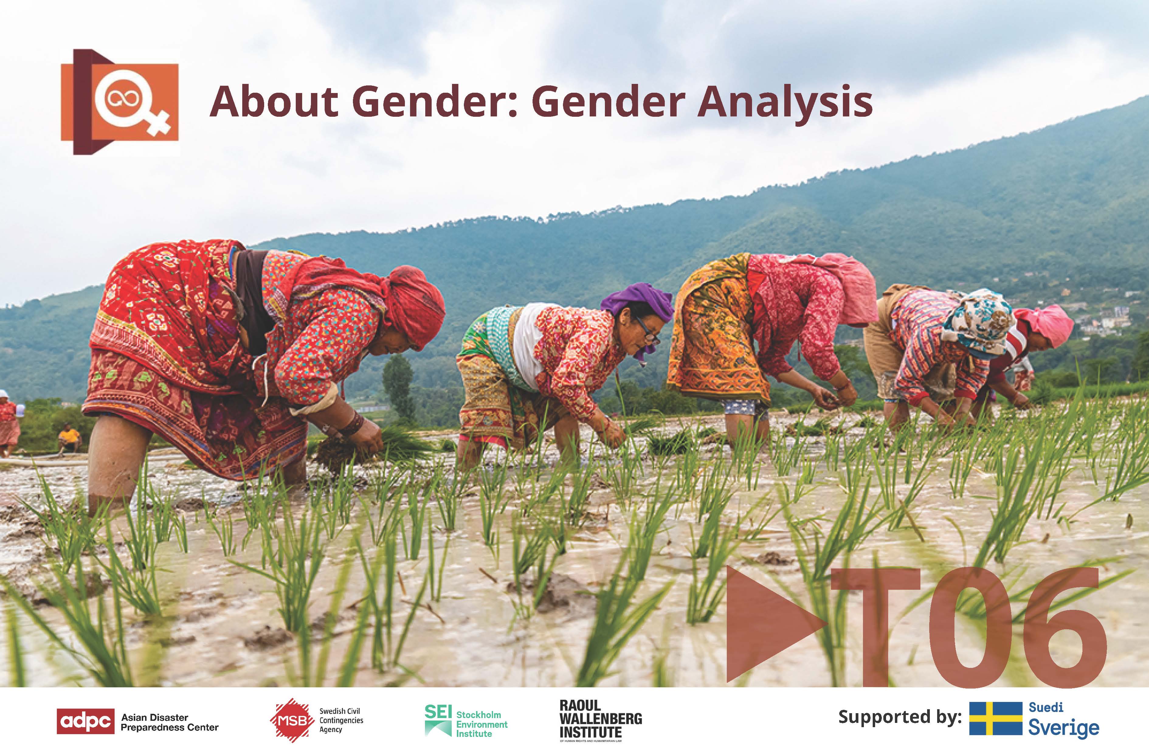 About Gender Series Topic 6: Gender Analysis BRDRT06