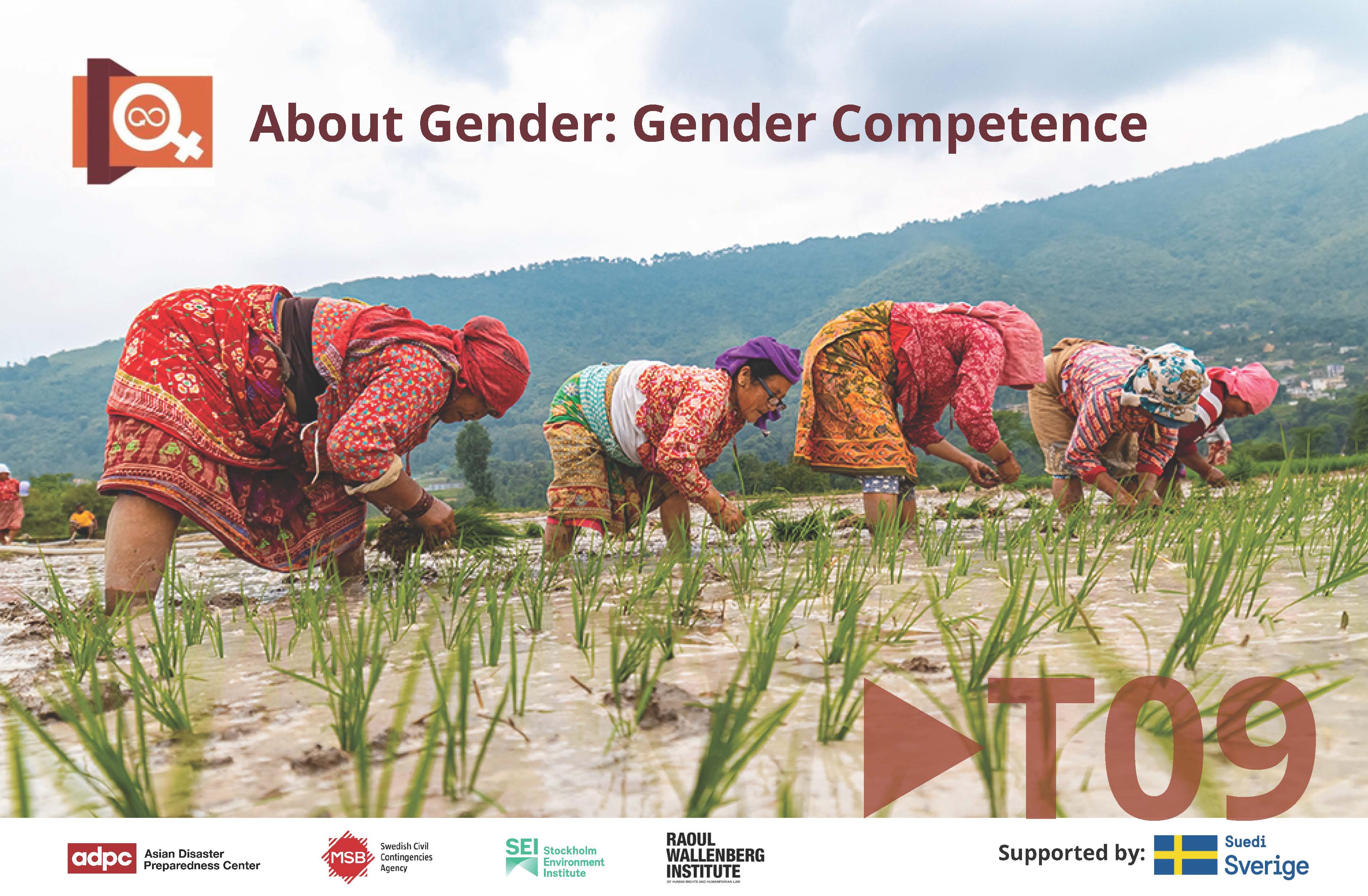 About Gender Series Topic 9: Gender Competence BRDRT09