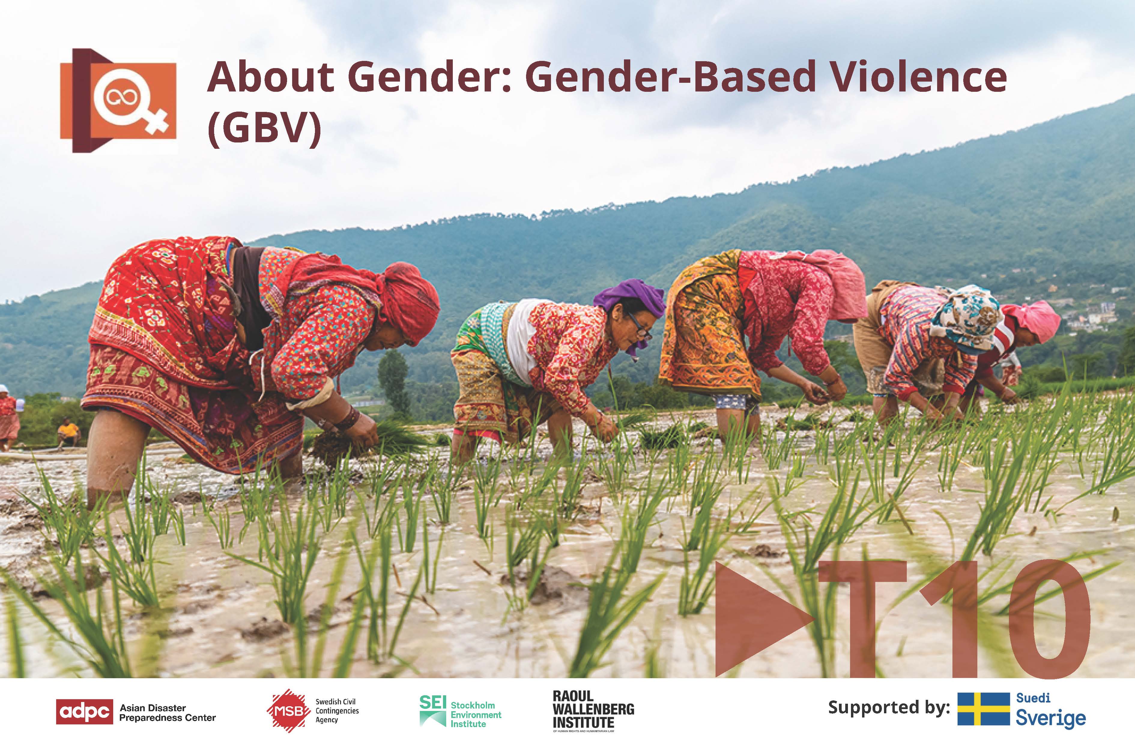 About Gender Series Topic 10: Gender-Based Violence (GBV) BRDRT10