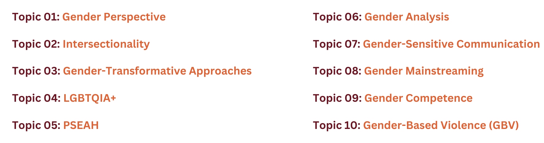 Topic 1: Gender Perspective. Topic 2: Intersectionality. Topic 3: Gender-Transformative Approaches. Topic 4: LGBTQIA+. Topic 5: PSEAH. Topic 6: Gender Analysis. Topic 7: Gender-Sensitive Communication. Topic 8: Gender Mainstreaming. Topic 9: Gender in Recruitment. Topic 10: Gender-Based Violence (GBV)